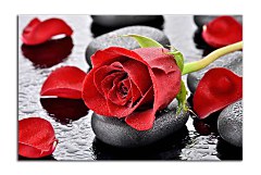 Obraz na stenu ZS - bez pomeru strán